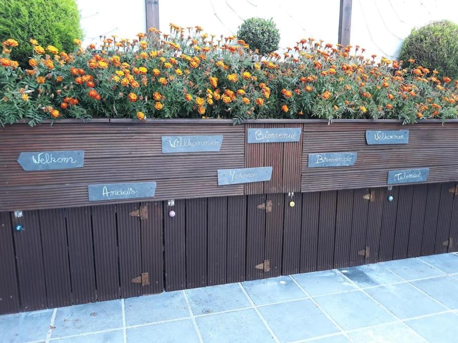 Studio Au Jardin Fleuri Verviers Eksteriør bilde